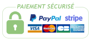 Logo carte paiement paypal stripe